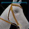 Mummy bridle