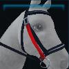 Valentine's bridle