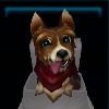 Loyal terrier