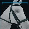 Blake Blackheart's bloody bridle