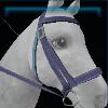 Summer bridle