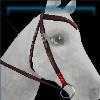 Explorer's bridle