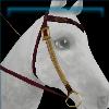 Red Druid western bridle