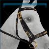 Baroque-style bridle