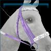 Fort Pinta sunset bridle